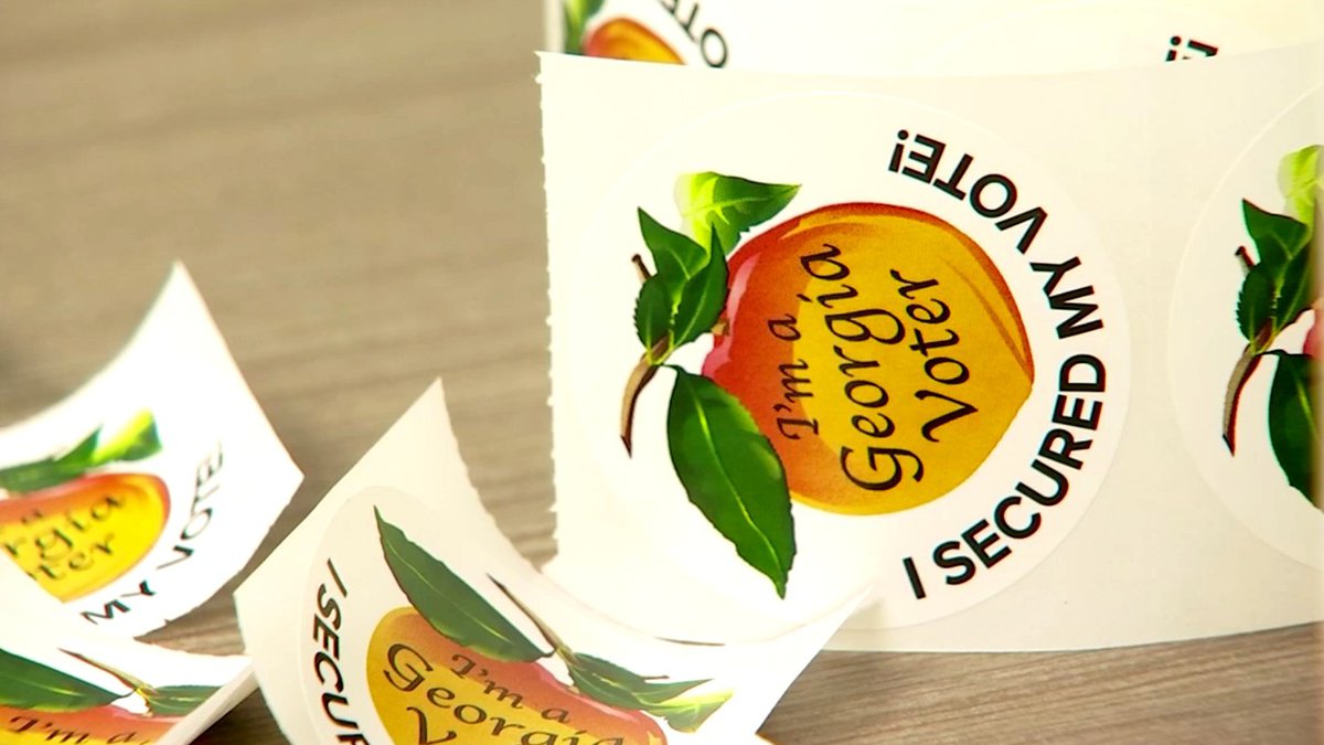 November 5, 2024 General Election Sample Ballot, Disqualified Candidate